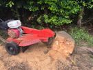 Stump removal Image 2