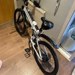 Bike 500 watt peddle and throttle
