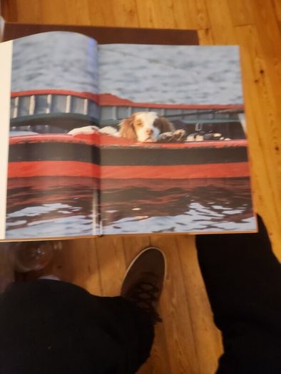 Just Dogs. A Literary & Photographic Tribute To The Great Hunting Breeds. First Edition Large Volume Hardback With Dustjacket In Very Good Condition. 36.