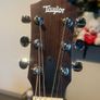 Taylor GS Mini semi acoustic Image 8