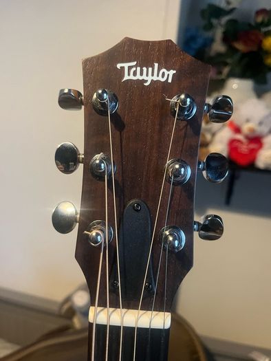 Taylor GS Mini semi acoustic