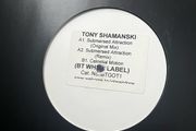 Promo. Tony Shamanski - submersed attraction 12" vinyl