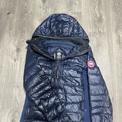 canada goose