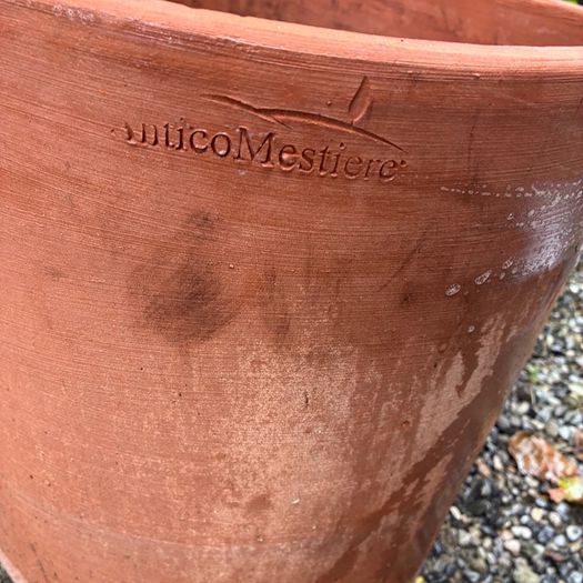 Terracotta Flower Pots