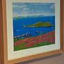 'View from the Ben of Howth Image 9