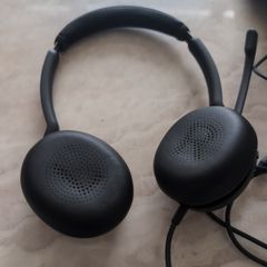 Jabra evolve 20