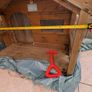 Dog Kennel, large breed Image 4