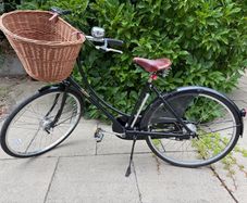 Pashley Princess