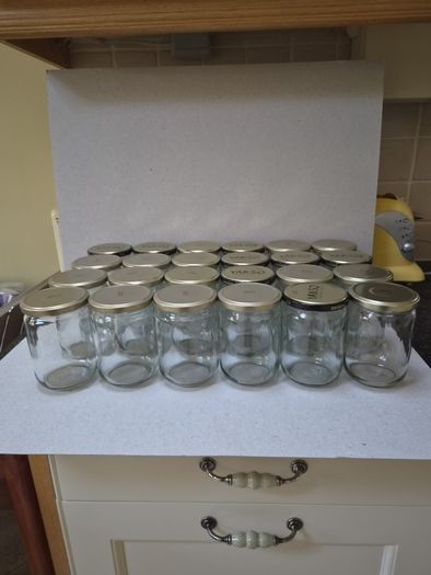 Big Glass Jars X 24