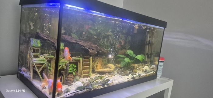 fish tank 80L