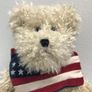Vintage Boyds Bears Tyler Glorybear American Flag  Jointed Bear Image 3