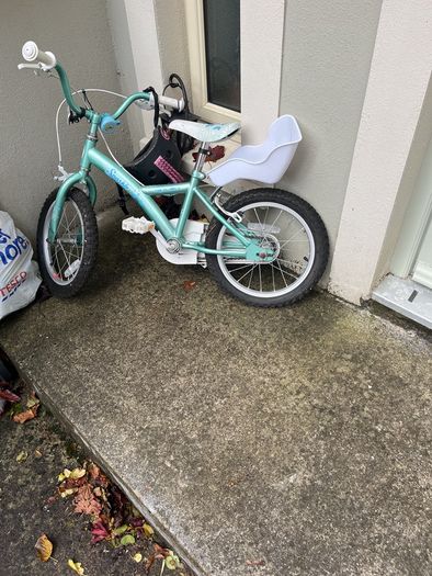 Free bike kid