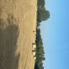 Hay for sale