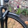 Modern Bike for sale, great bicycle in great condition Image 3