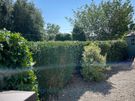 Gardening Image 3
