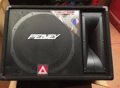 Peavey Eurosys 500mxt Pro audio 500w Speaker Monitor new