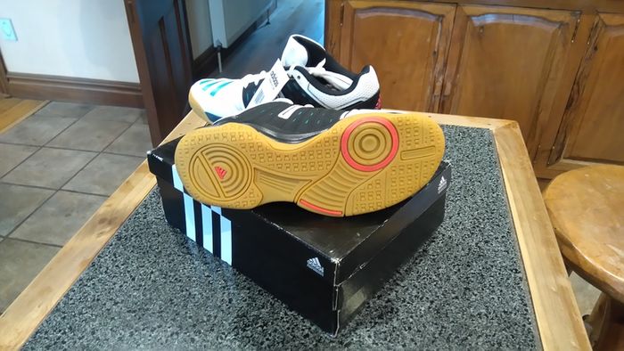 Adidas Essence 12 Indoor Court Shoes (Brand New).
