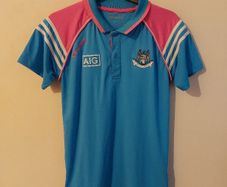 dublin gaa polo