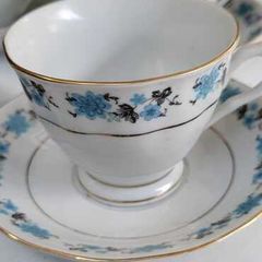 BCL FOREIGN Blue and White fine bone china wtih gold trim