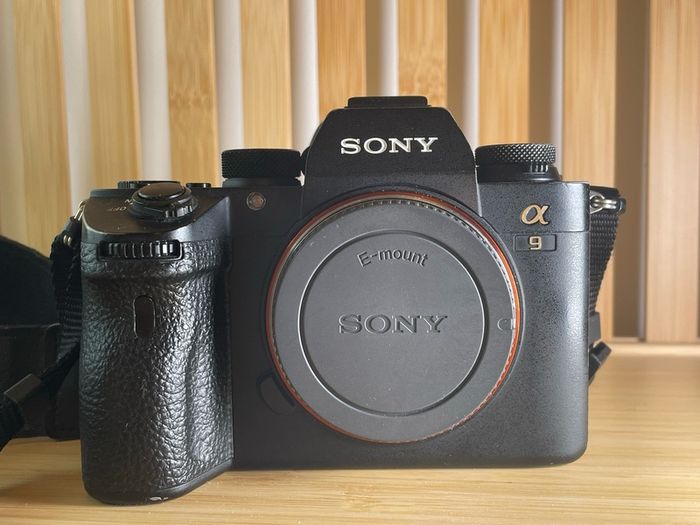 Sony A9