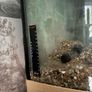 60L fish Tank w/ Pump and filter Image 7