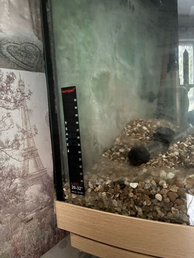 60L fish Tank w/ Pump and filter