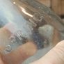 504 - Vintage Clear Glass Cork Top Collectible Decorative Springmount Milk Bottle Image 3