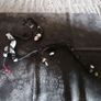 Toyota mr2 mk2 Window regulator and door lock Image 2