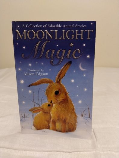 Moonlight Magic, Story Book