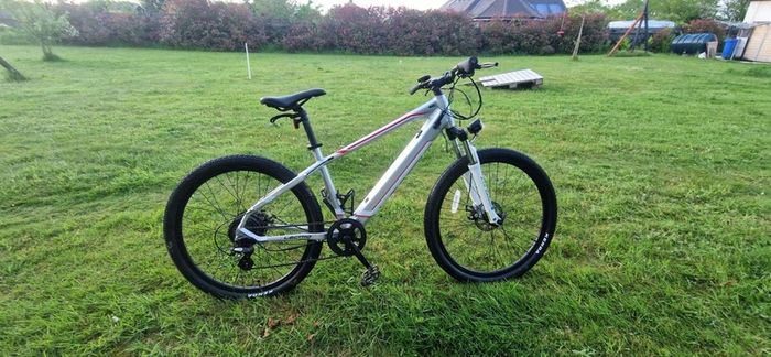 ebike
