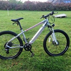 ebike