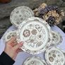 Arklow Pottery Cake/Sandwich Plate and 6 SidePlates Image 3