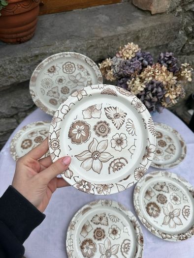 Arklow Pottery Cake/Sandwich Plate and 6 SidePlates