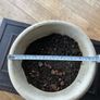Rustic clay pot Image 3