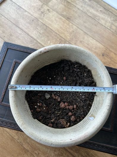 Rustic clay pot
