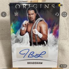 wwe auto