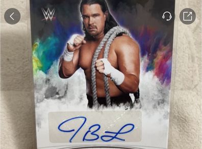 wwe auto
