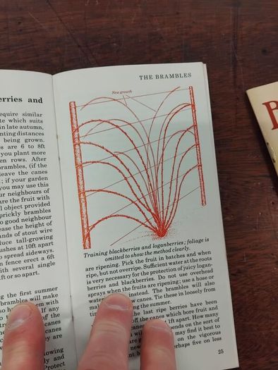 4 Letts Grow 1970s Books