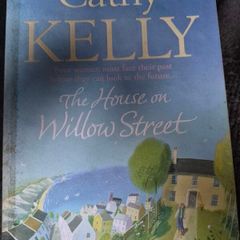 The house on willow street