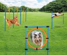 Dog Agility Set