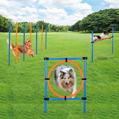 Dog Agility Set