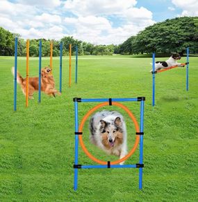 Dog Agility Set