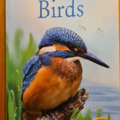 Sea & Freshwater. Birds. Usbourne Spotters Guide. With Internet Links. Beautiful Illustrated Book In Good Condition.