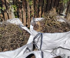 two large bags of hedge clippings and tree branches Free
