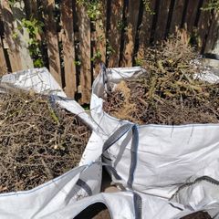 two large bags of hedge clippings and tree branches Free