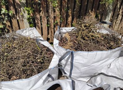 two large bags of hedge clippings and tree branches Free