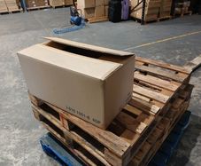 cardboard