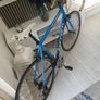 bike Image 4