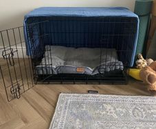 Dog Crate Medium