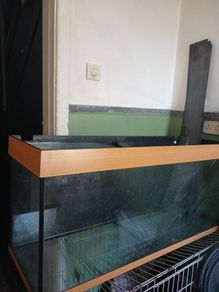 fish tank rio jewel